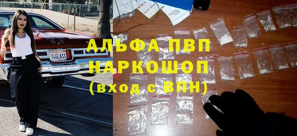 гашик Магас