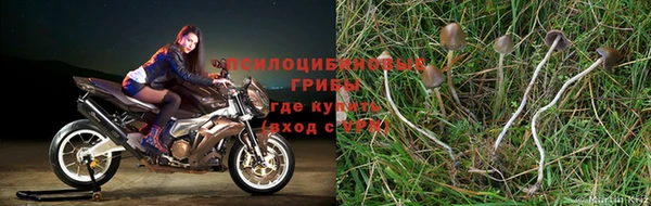 стаф Магадан