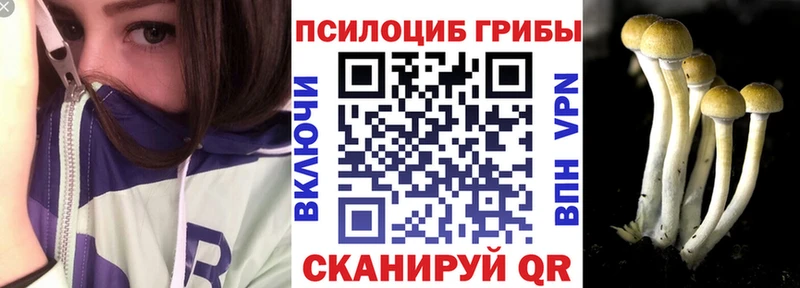 площадка как зайти  MEGA как войти  Чайковский  Псилоцибиновые грибы ЛСД 