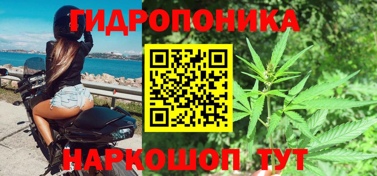 Каннабис Amnesia Чайковский